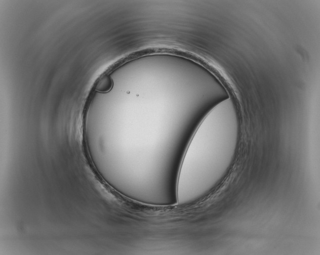 X0000113860791200909241024