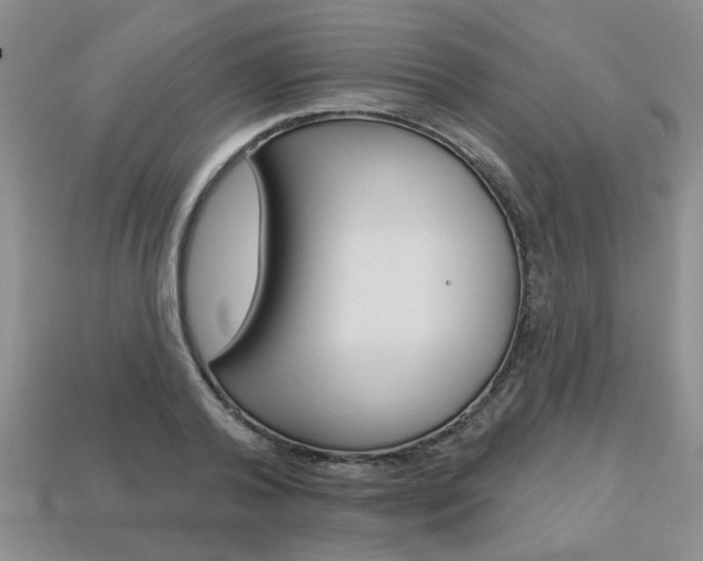 X0000113860792200909241024
