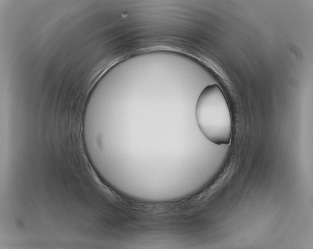X0000113860793200909241024