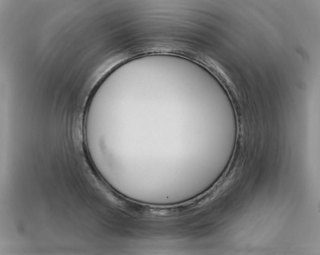 X0000113860794200909241024
