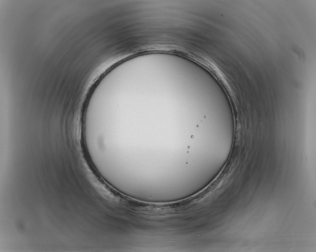 X0000113860795200909241024