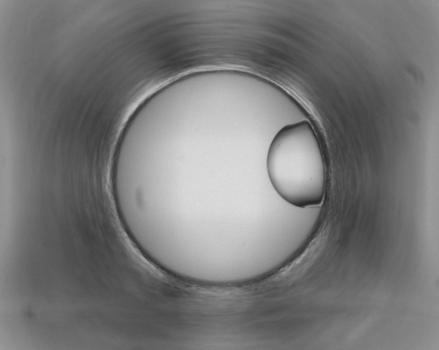 X0000113860797200909241024