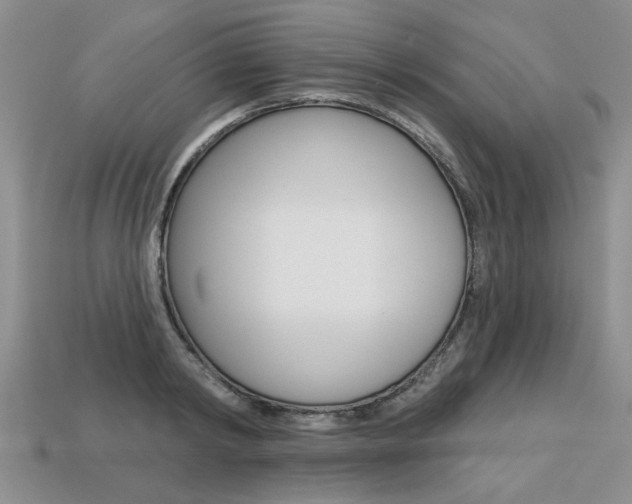 X0000113860798200909241024