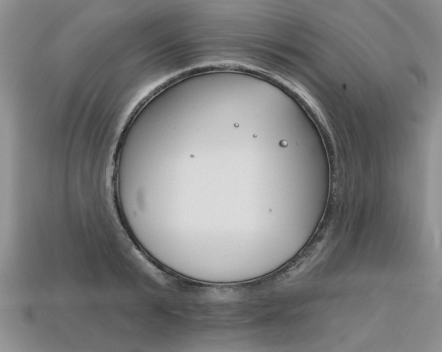 X0000113860799200909241024