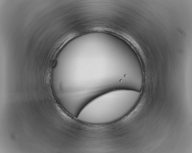X0000113860801200909241024
