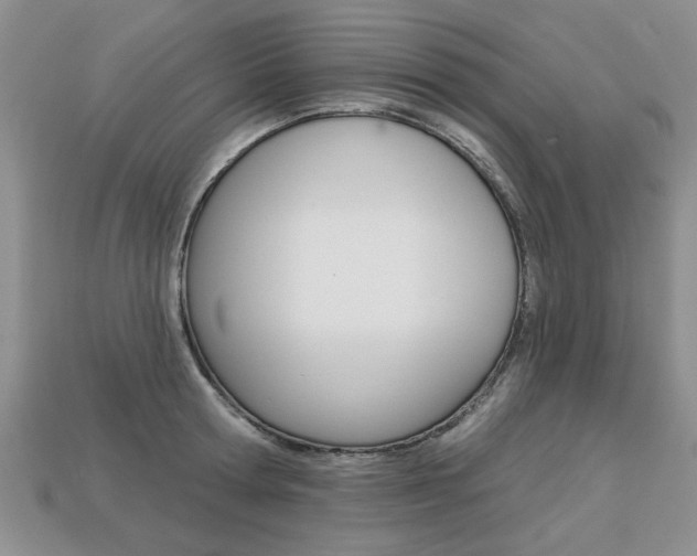 X0000113860802200909241024