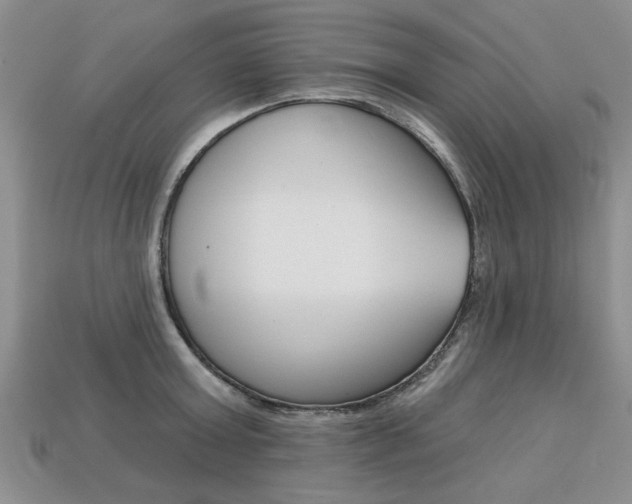 X0000113860803200909241024