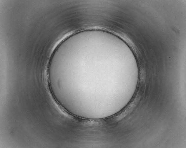 X0000113860806200909241024