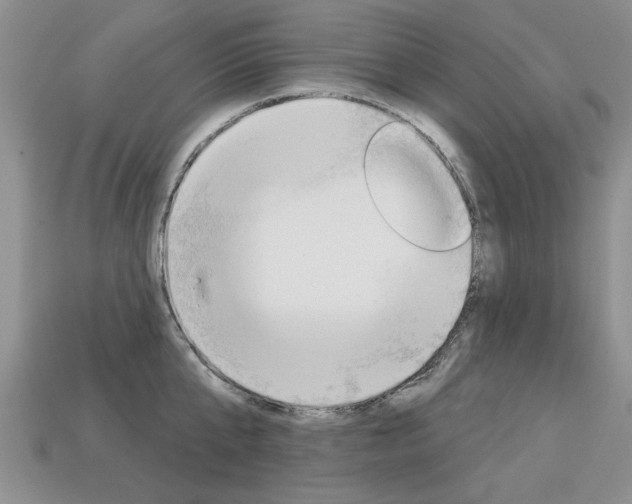 X0000113860807200909241024