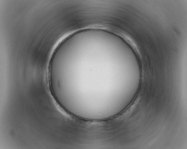 X0000113860808200909241024