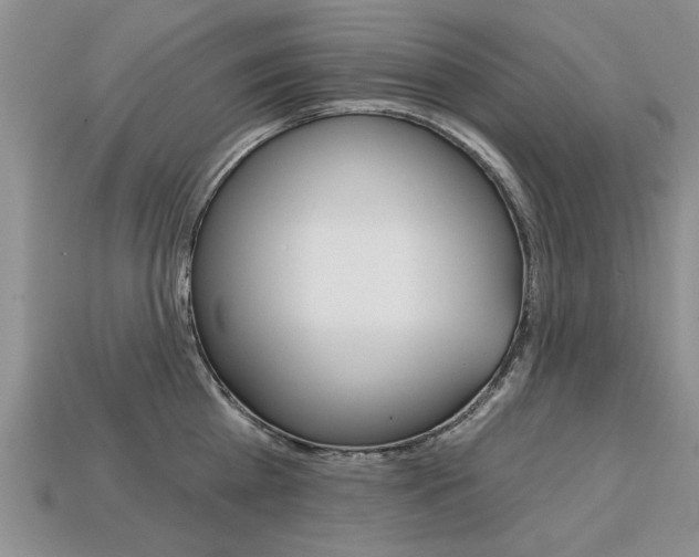 X0000113860809200909241024