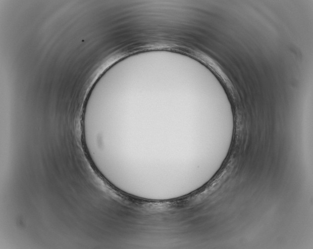 X0000113860810200909241024