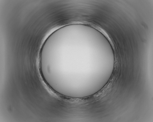 X0000113860811200909241024