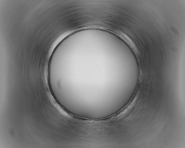 X0000113860812200909241024