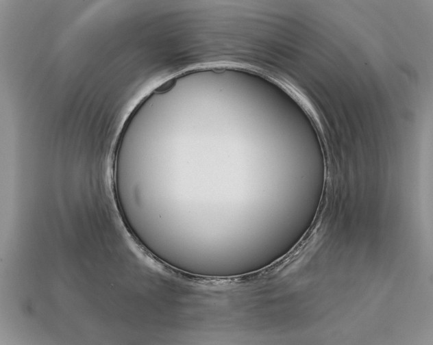 X0000113860813200909241024