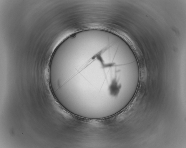 X0000113860814200909241024