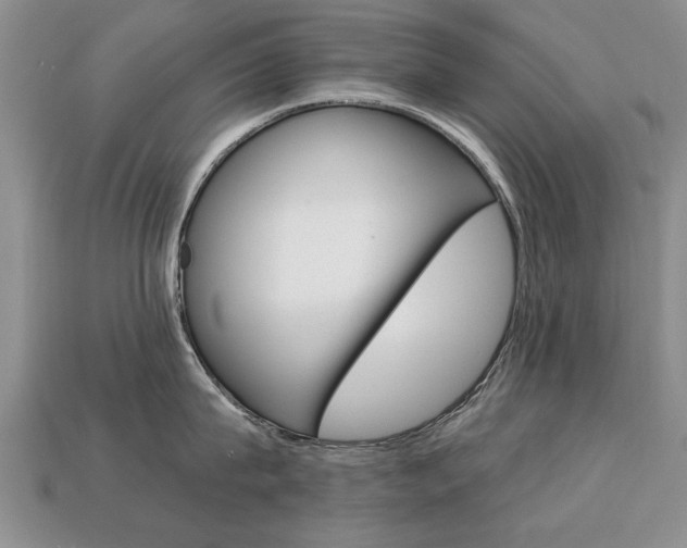 X0000113860815200909241024