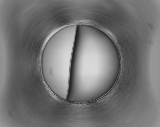 X0000113860816200909241024