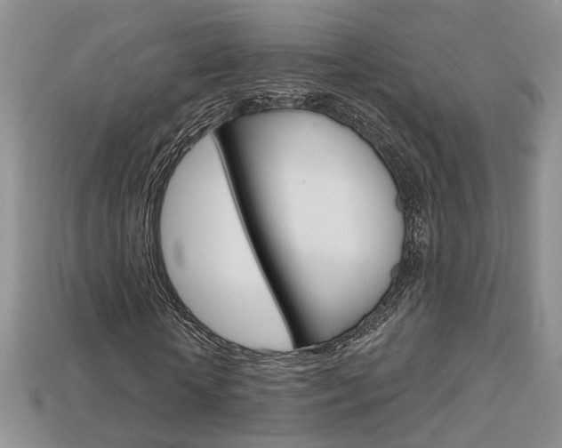 X0000113860818200909241023