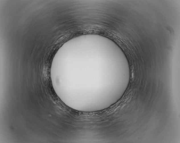 X0000113860819200909241023