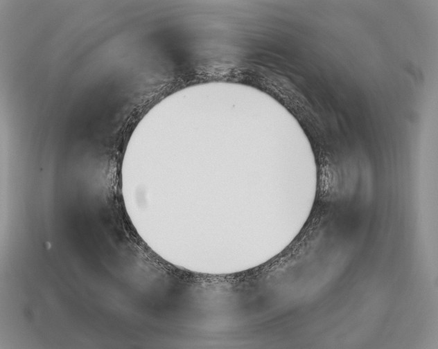 X0000113860820200909241023