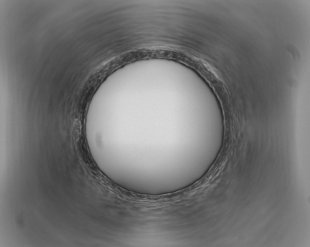 X0000113860821200909241023