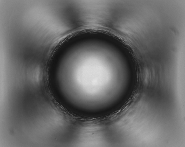 X0000113860822200909241023