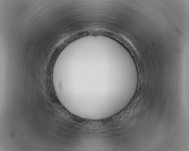 X0000113860823200909241023