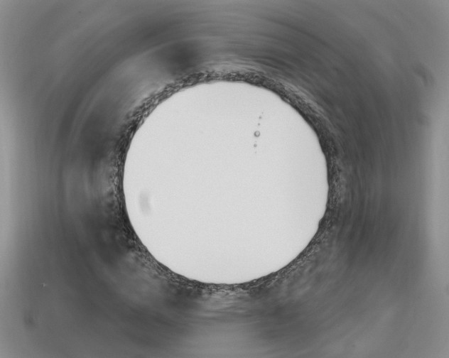 X0000113860824200909241023