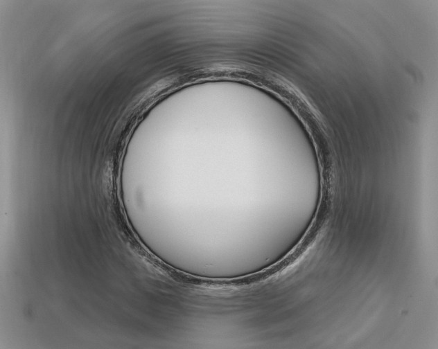 X0000113860825200909241023