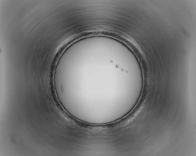 X0000113860826200909241023