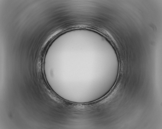 X0000113860827200909241023