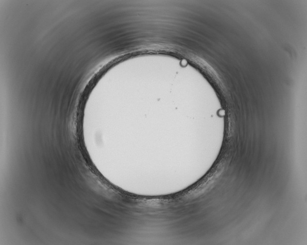 X0000113860828200909241023