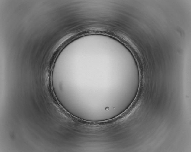 X0000113860829200909241023