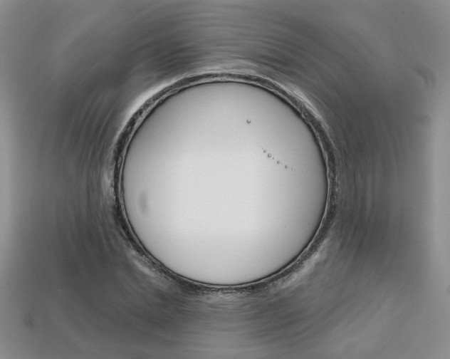 X0000113860830200909241023
