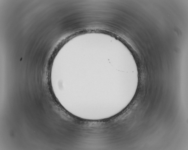 X0000113860832200909241024