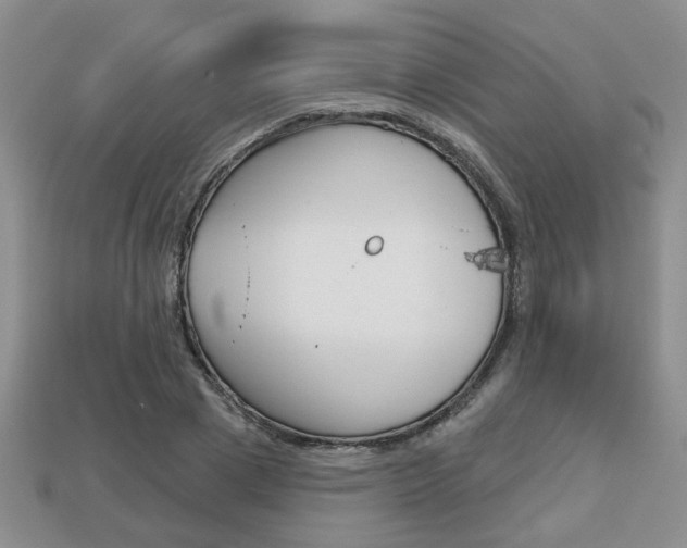 X0000113860833200909241024