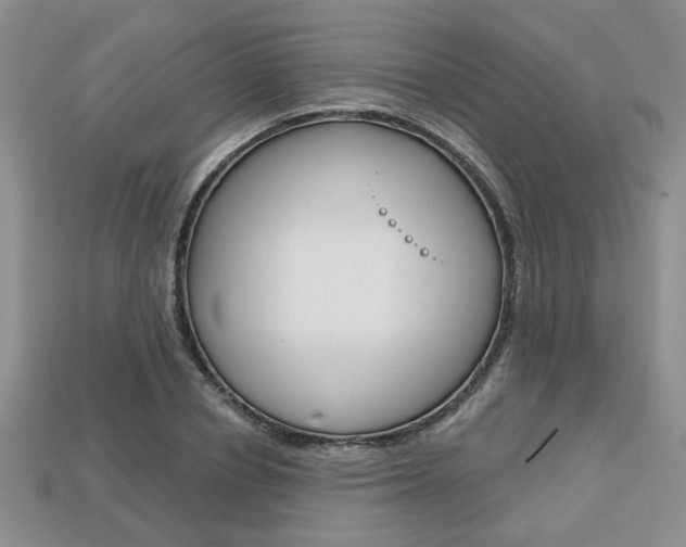 X0000113860834200909241024