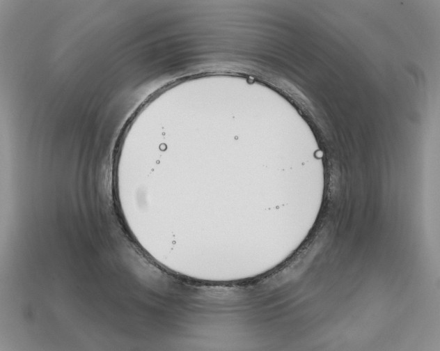 X0000113860836200909241024