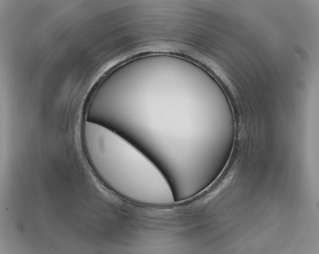 X0000113860837200909241024