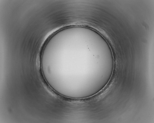 X0000113860838200909241024