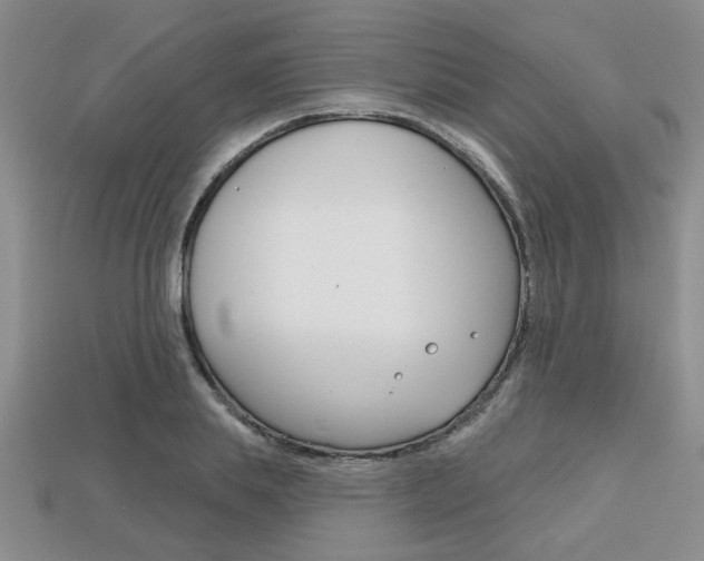 X0000113860839200909241024