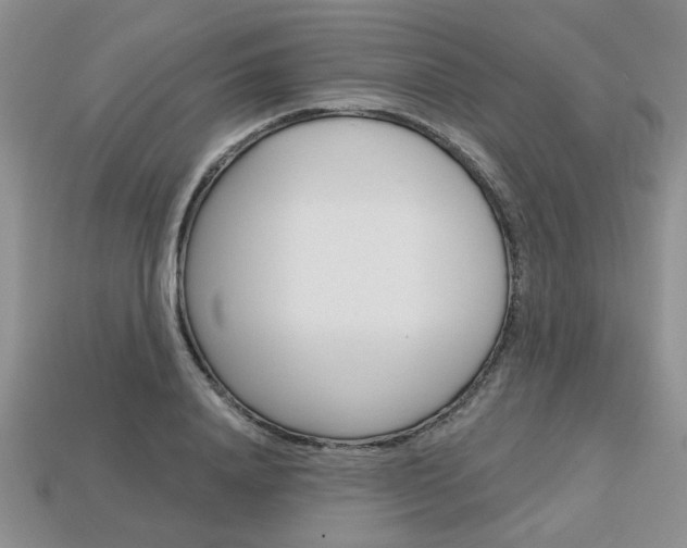 X0000113860840200909241024
