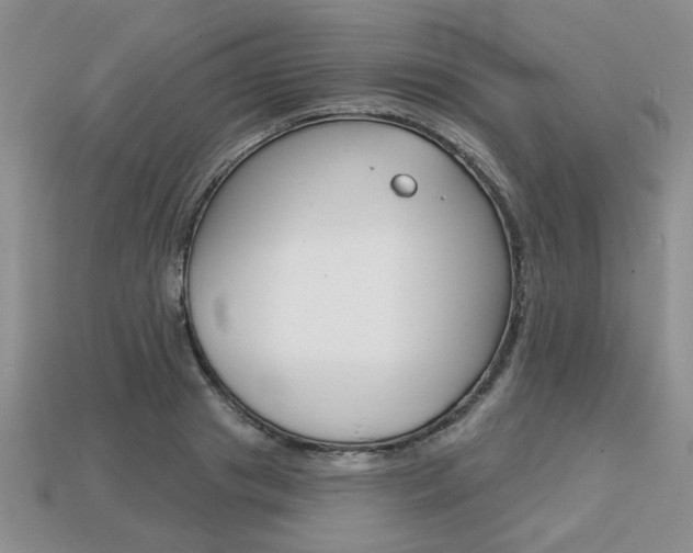 X0000113860841200909241024