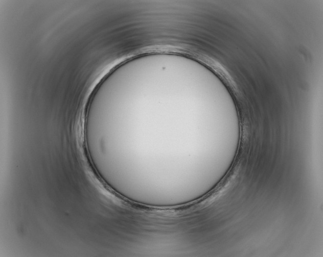 X0000113860844200909241024