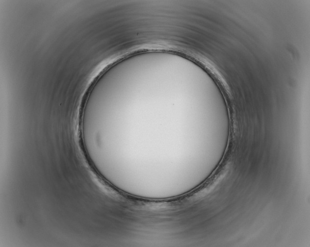 X0000113860845200909241024
