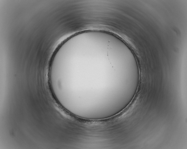 X0000113860846200909241024