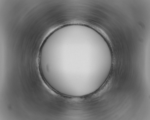 X0000113860847200909241024