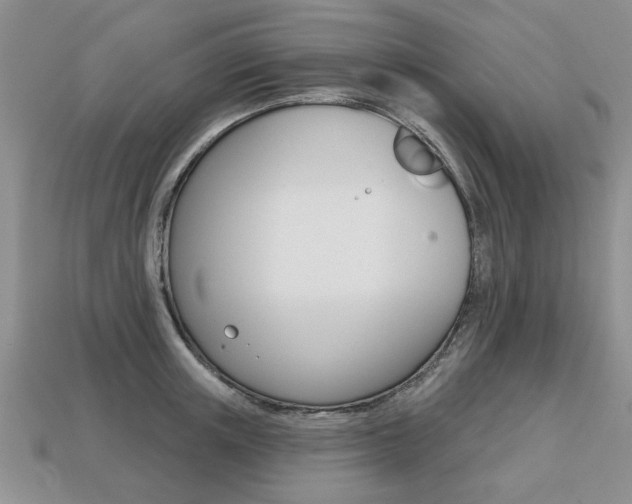 X0000113860851200909241024