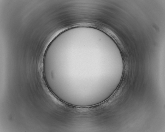 X0000113860852200909241024